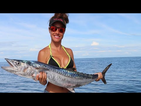 KINGFISH, GROUPER & MORE! Fishing in FLORIDA