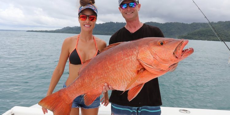 MONSTER Cubera Snapper and Roosters of Costa Rica