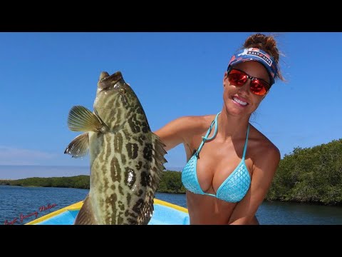 Magdalena Bay Mangrove madness!