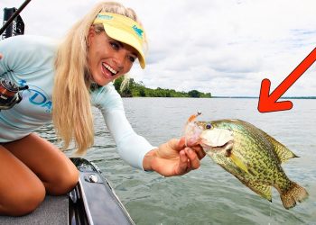 Massive Crappie Fishing in a Flooded Georgia Lake! (Catch & Cook)