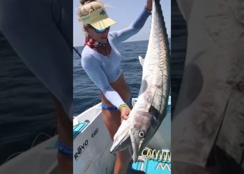 Massive Fish Offshore!
