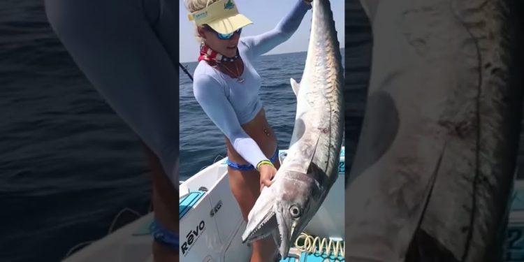 Massive Fish Offshore!