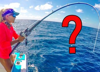UNEXPECTED Miracle Catch on Light Tackle! First Time Ever Catch & Cook