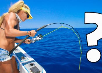 Unexpected GIANT CATCH Deep Sea Wreck Fishing!