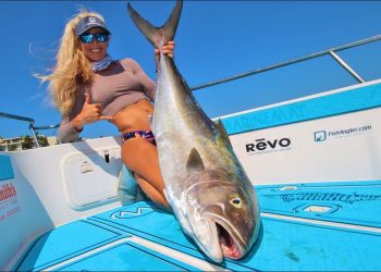 Unexpected Monster Catch! I Put a Live Bait Down and THIS Happened