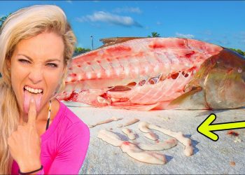 Would You Eat Worm Infested Fish?