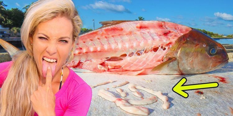 Would You Eat Worm Infested Fish?