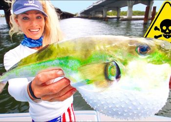 1,200 Times Deadlier Than CYANIDE! Eating the Toxic Rabbit Fish