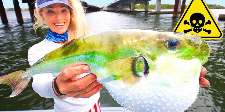 1,200 Times Deadlier Than CYANIDE! Eating the Toxic Rabbit Fish