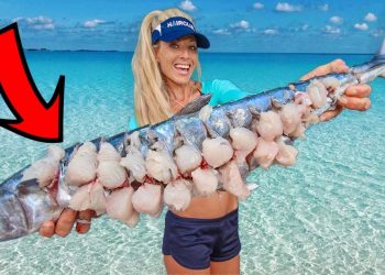 BALL Your FIsh for Unbelievable Results! Florida Offshore Fishing Catch & Cook