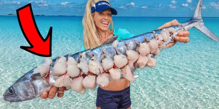 BALL Your FIsh for Unbelievable Results! Florida Offshore Fishing Catch & Cook