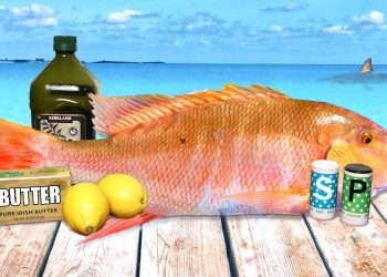 Eating Whatever the Sharks Let Us Catch! (Summer BBQ Catch & Cook)