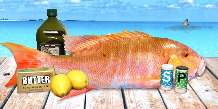 Eating Whatever the Sharks Let Us Catch! (Summer BBQ Catch & Cook)