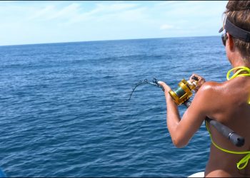 Fishing in Florida
