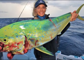 Florida Mahi Mahi Sandbar Cookout!