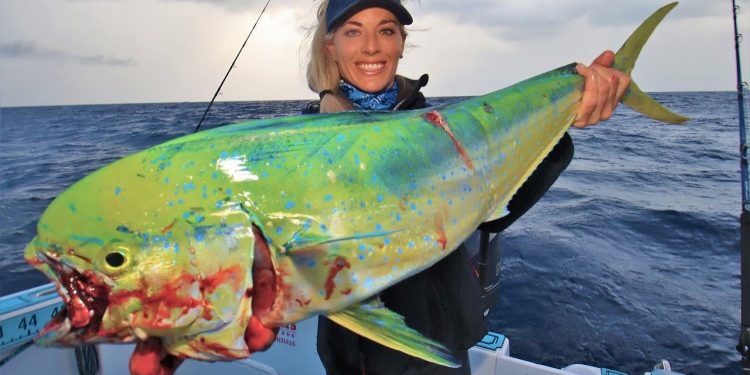 Florida Mahi Mahi Sandbar Cookout!