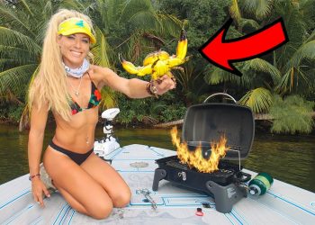 Florida STONE CRAB Cook Out! HOW TO Stone Crab
