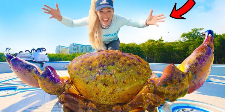 Giant Stone Crab Barehanded Catch & Cook