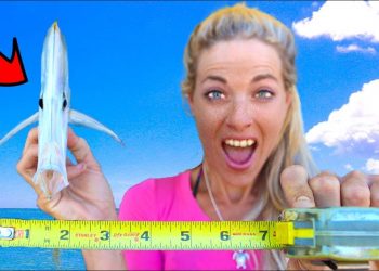 I Catch & Cook the World’s Thinnest Fish!