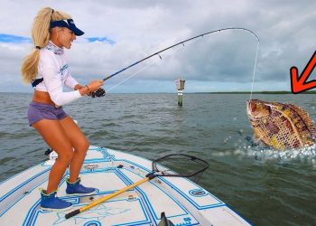IT WORKED! Florida Inshore Fishing Catch & Cook (Macadamia Nut Encrusted Tripletail)
