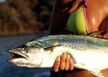 MACKEREL Fishing in the Pacific