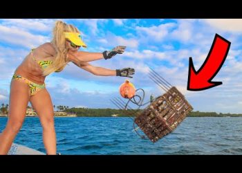 MASSIVE CRABS in Our Pots!!😀 Florida STONE CRAB Catch and Cook