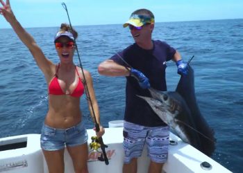 SAILFISH in Mexico
