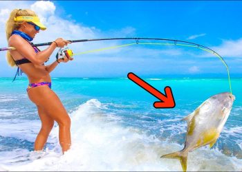 SURF FISHING for Florida Pompano! (Catch & Cook)