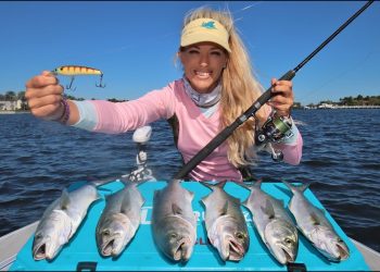 TRASH FISH Catch & Cook!  Cocktail BLUEFISH with Surprising Results