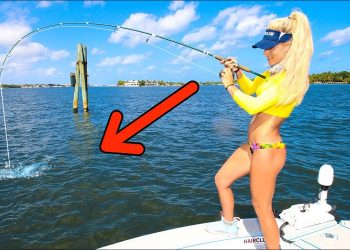 UNEXPECTED Catch, Never Caught One This Big! Catch and Cook