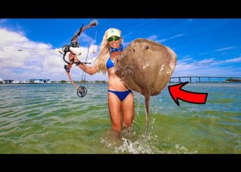 Unexpected Results! Giant Florida Stingray Catch & Cook