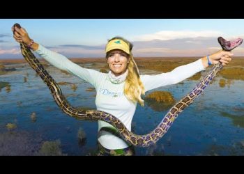 BARE HANDED! Catching INVASIVE Burmese PYTHONS in the Everglades (Python Hunting Florida)
