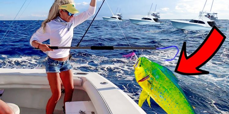 Florida MAHI MAHI Fishing on 4 Yachts for Beer!