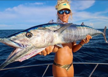 Giant WAHOO! Best RAW FISH Ever! Wahoo Homemade Sushi Catch Clean Cook
