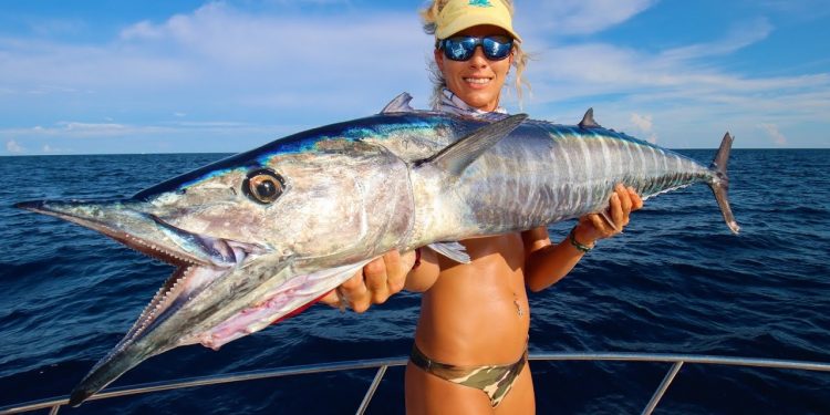 Giant WAHOO! Best RAW FISH Ever! Wahoo Homemade Sushi Catch Clean Cook