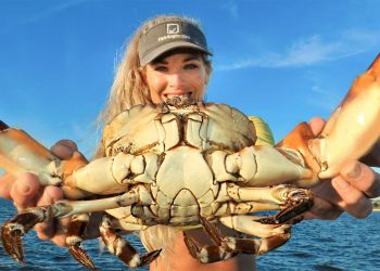 JUMBO CLAWS! Best of 2021 Florida Stone Crab Catch & Cook!