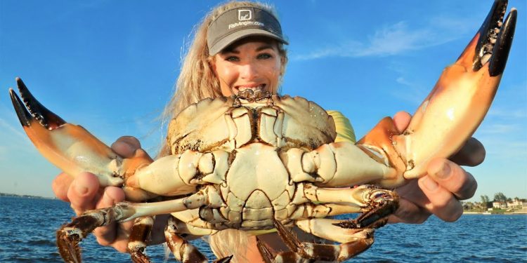 JUMBO CLAWS! Best of 2021 Florida Stone Crab Catch & Cook!
