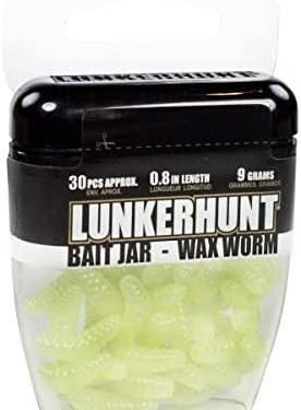 Lunkerhunt Larvae Bait Jar with Unique Attractant | Fishing Lures for Bass Fishing and Trout
