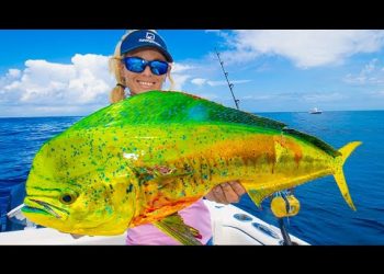 MAHI MAHI Catch & Cook on NINE HUNDRED Horsepower Super Boat! (Hillsboro Inlet)