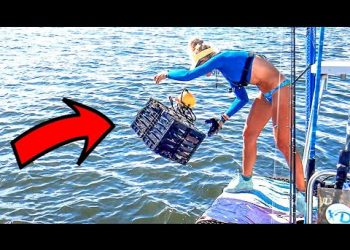 MASSIVE CRABS in our Pots! 😀 Florida STONE CRABS How To First Pull of the Season!