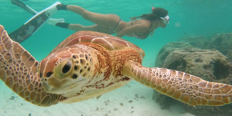 PARADISE Cove Grand BAHAMA