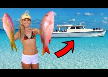 PARTY TIME! Florida Keys Snapper Sauce Catch, Clean & Cook