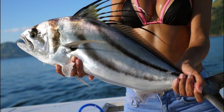 Roosterfish in El Salvador | Casa del Golfo