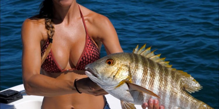 SNAPPER FISHING in El Salvador ! 4K
