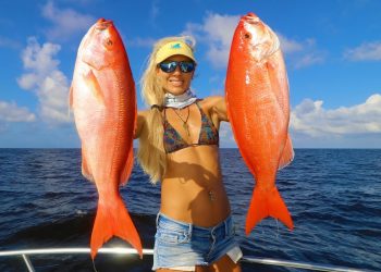 Snapper Limit- EASIEST Fish To Catch! HOW TO Catch Snapper in Florida!