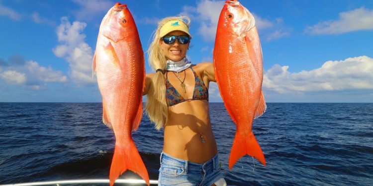 Snapper Limit- EASIEST Fish To Catch! HOW TO Catch Snapper in Florida!