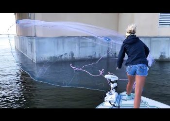 Thats Alotta BAIT + Multi-Species Inshore Fishing!