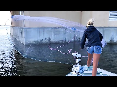 Thats Alotta BAIT + Multi-Species Inshore Fishing!