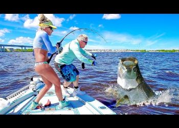 Unexpected GIANT 100lb+ Tarpon Battle Inshore Bridge Fishing! *Florida Fishing*