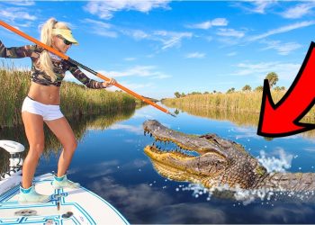 We ATE an Alligator over TEN FEET LONG! Florida Alligator “Catch” & Cook